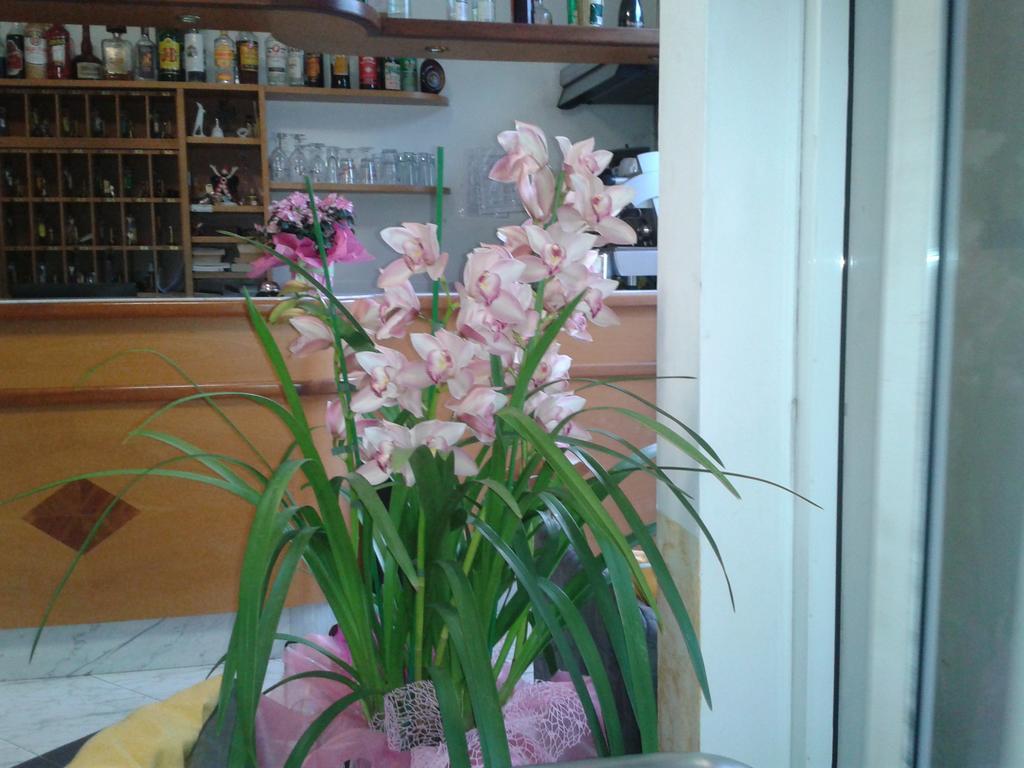 Hotel Sogno Viareggio Kültér fotó